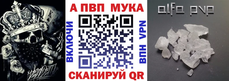 APVP СК  Кириллов 