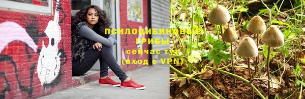 сатива Киренск