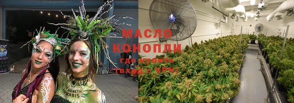 соль курить ск Каменка