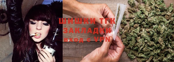 гидра Касимов