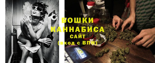 дмт Киреевск