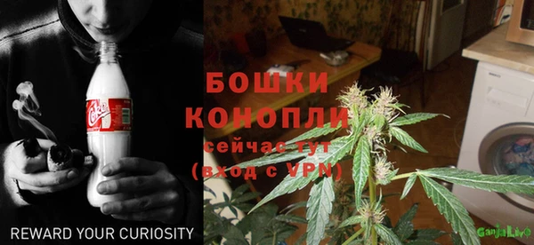 гидра Касимов