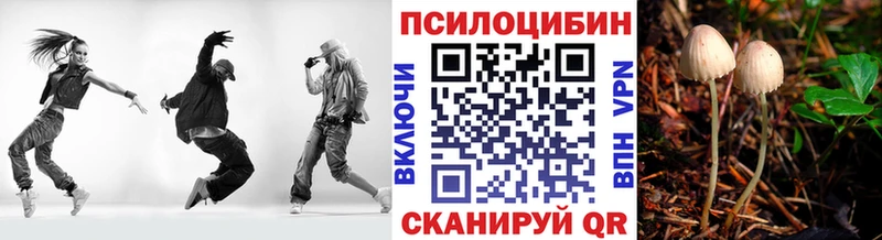 Псилоцибиновые грибы GOLDEN TEACHER  цены наркотик  Кириллов 