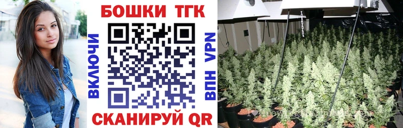Конопля сатива  блэк спрут как войти  Кириллов  купить наркотик 